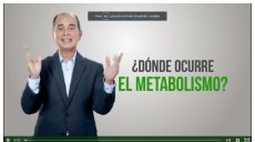 Curso 11 : La Dieta 3x1